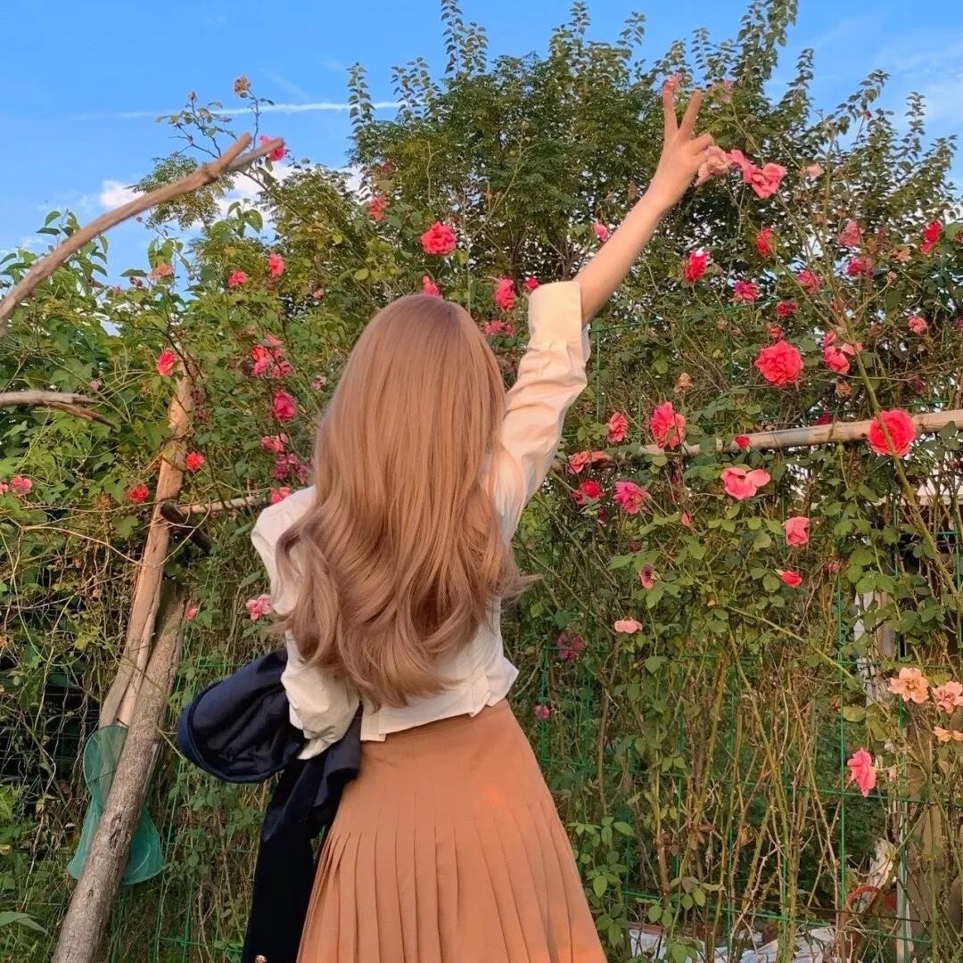 格桑花开的时候